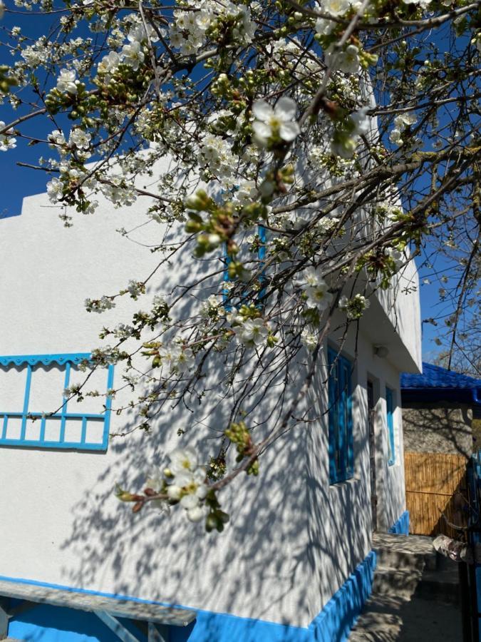 Casa Bunicilor Granny'S House Villa Jurilovca Exterior photo